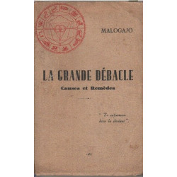 La grande debacle causes et remedes