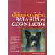 LES CHIENS. Batards et corniauds