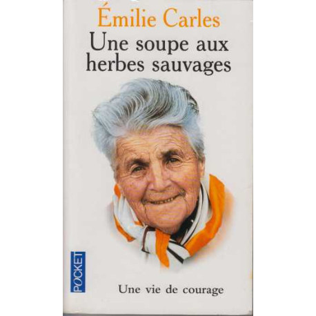 Une soupes aux herbes sauvages