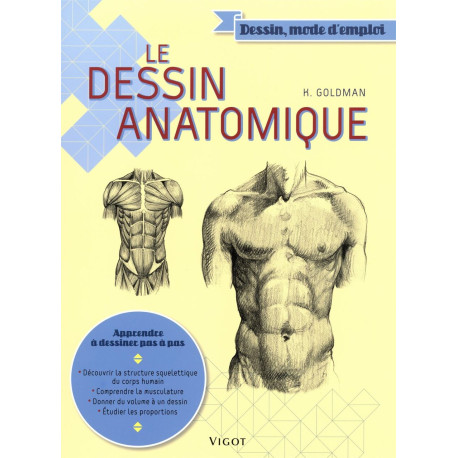 Le dessin anatomique