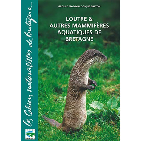 Loutres et autres mammifères aquatiques de Bretagne