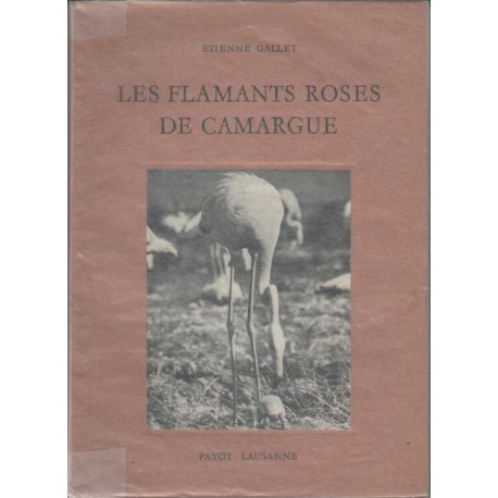 Les flamants roses de Camargue