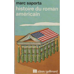 Histoire du roman americain