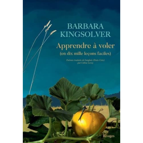 Apprendre à voler: (En 10000 leçons faciles)