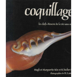 Coquillages