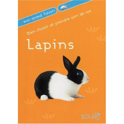 Bien choisir et prendre soin de vos Lapins