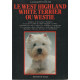 Le West Highland White Terrier ou Westie