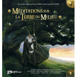 Méditations sur la Terre du milieu