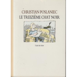 Le treizième chat noir