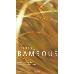 Herbes et bambous