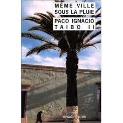 Meme ville sous la pluie