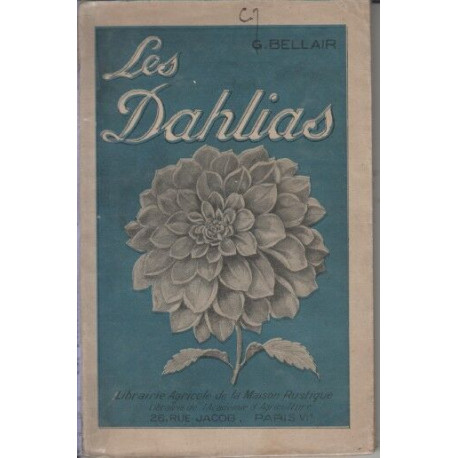 Les dahlias