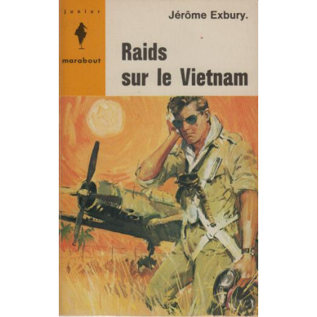 Raids sur le Vietnam