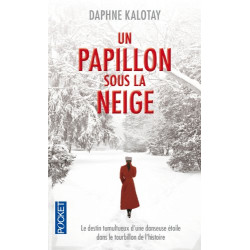 Un papillon sous la neige