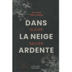 Dans la neige ardente