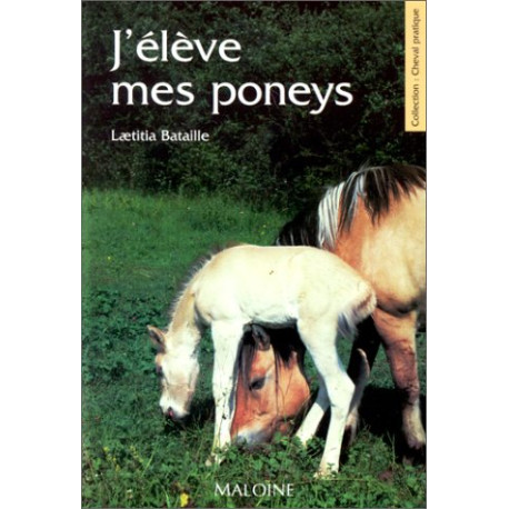 J'élève mes poneys