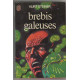 Brebis galeuses