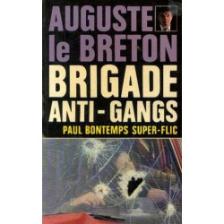 Paul bontemps super-flic brigade anti-gangs