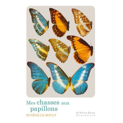 Mes Chasses Aux Papillons