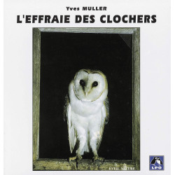 L'Effraie des clochers: Collection APPROCHE (n°16)