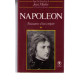 Napoleon tome i naissance d'un empire