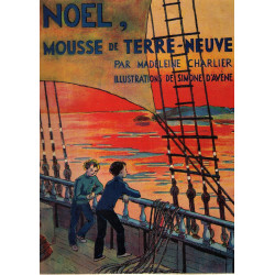 Noel mousse de terre-neuve