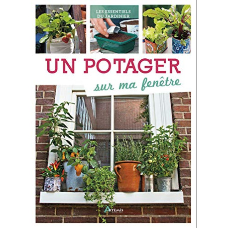 Un potager sur ma fenêtre