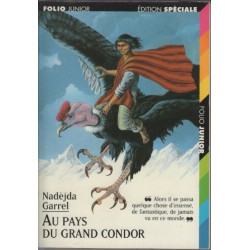 Au pays du grand condor