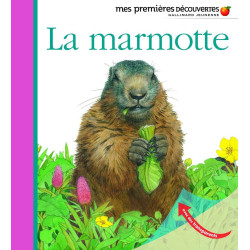 La marmotte