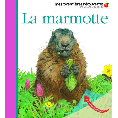 La marmotte