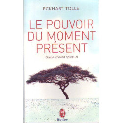 LE POUVOIR DU MOMENT PRESENT.GUIDE DE L'EVEIL SPIRITUEL