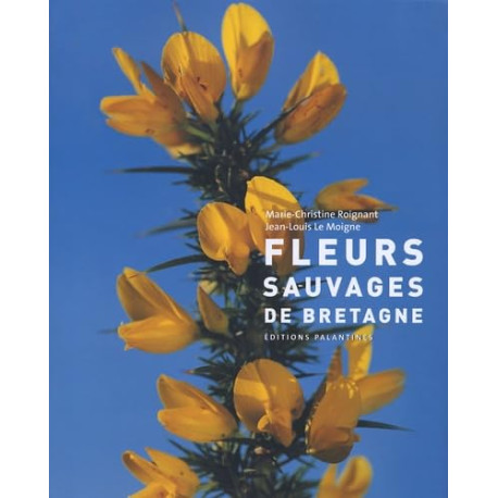 Fleurs sauvages de Bretagne